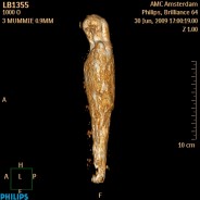 Scan [1] of bird mummy LB 1355 - CT.gif